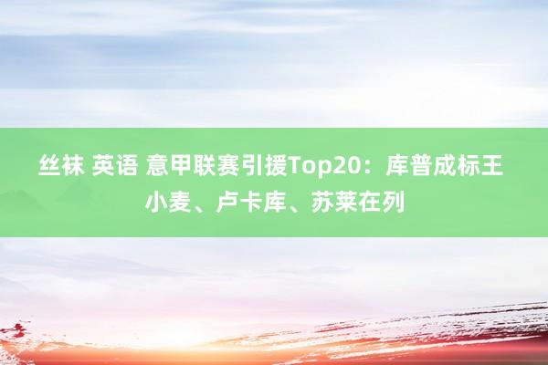 丝袜 英语 意甲联赛引援Top20：库普成标王 小麦、卢卡库、苏莱在列