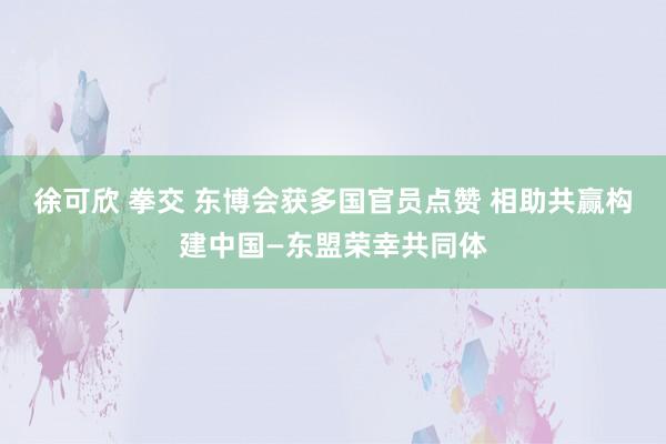 徐可欣 拳交 东博会获多国官员点赞 相助共赢构建中国—东盟荣幸共同体