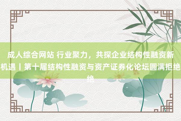 成人综合网站 行业聚力，共探企业结构性融资新机遇丨第十届结构性融资与资产证券化论坛圆满拒绝