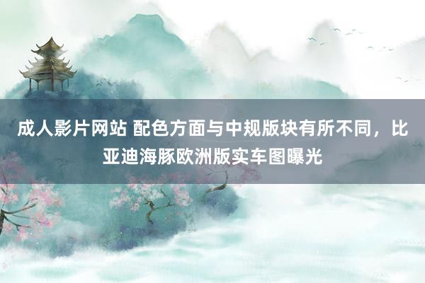 成人影片网站 配色方面与中规版块有所不同，比亚迪海豚欧洲版实车图曝光