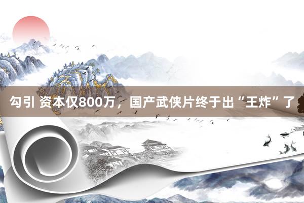 勾引 资本仅800万，国产武侠片终于出“王炸”了