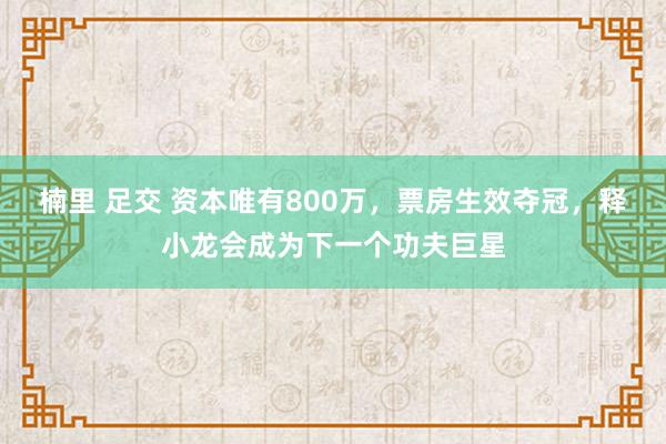 楠里 足交 资本唯有800万，票房生效夺冠，释小龙会成为下一个功夫巨星