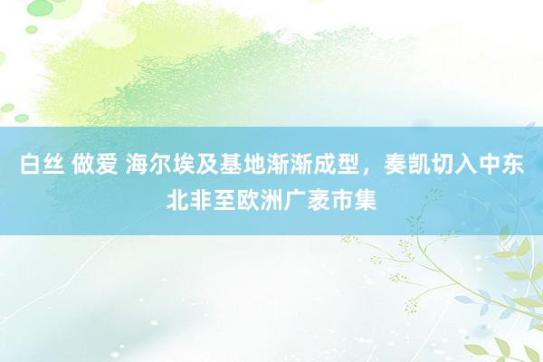 白丝 做爱 海尔埃及基地渐渐成型，奏凯切入中东北非至欧洲广袤市集