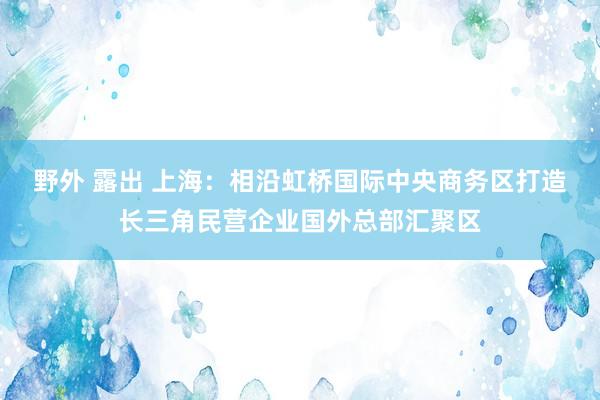 野外 露出 上海：相沿虹桥国际中央商务区打造长三角民营企业国外总部汇聚区