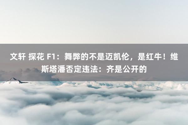 文轩 探花 F1：舞弊的不是迈凯伦，是红牛！维斯塔潘否定违法：齐是公开的