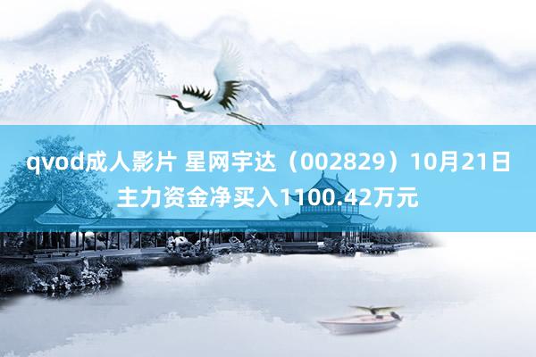 qvod成人影片 星网宇达（002829）10月21日主力资金净买入1100.42万元