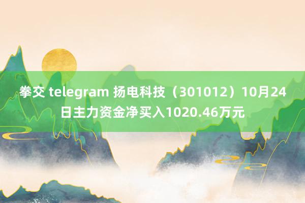 拳交 telegram 扬电科技（301012）10月24日主力资金净买入1020.46万元