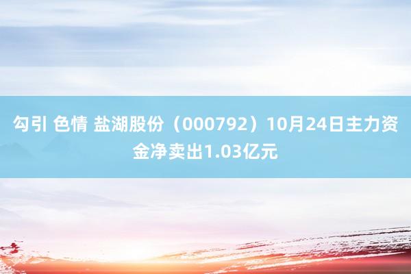 勾引 色情 盐湖股份（000792）10月24日主力资金净卖出1.03亿元