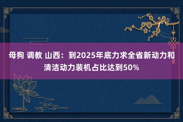 母狗 调教 山西：到2025年底力求全省新动力和清洁动力装机占比达到50%