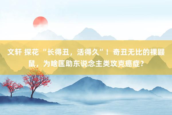 文轩 探花 “长得丑，活得久”！奇丑无比的裸鼹鼠，为啥匡助东说念主类攻克癌症？