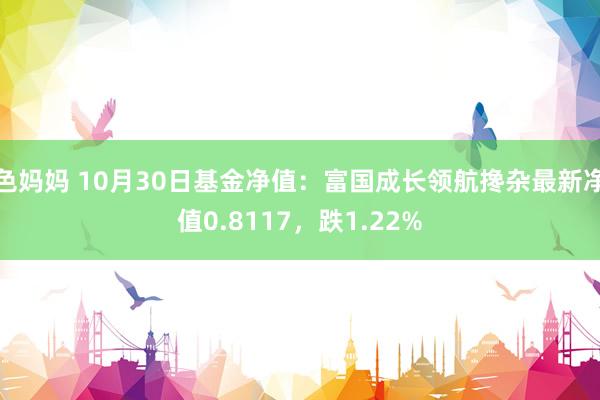 色妈妈 10月30日基金净值：富国成长领航搀杂最新净值0.8117，跌1.22%