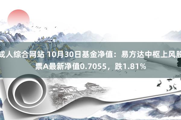 成人综合网站 10月30日基金净值：易方达中枢上风股票A最新净值0.7055，跌1.81%