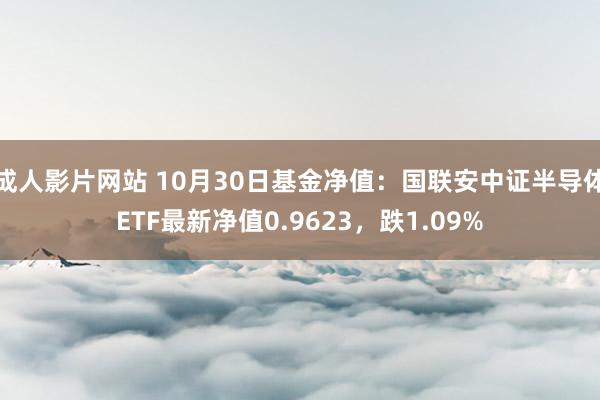 成人影片网站 10月30日基金净值：国联安中证半导体ETF最新净值0.9623，跌1.09%