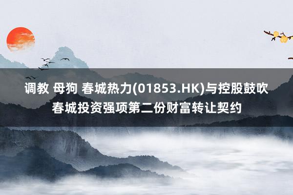 调教 母狗 春城热力(01853.HK)与控股鼓吹春城投资强项第二份财富转让契约