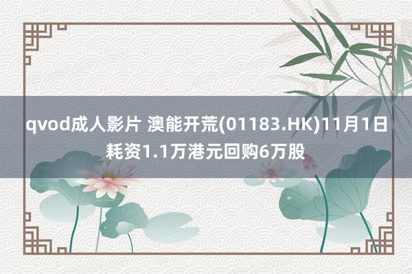 qvod成人影片 澳能开荒(01183.HK)11月1日耗资1.1万港元回购6万股