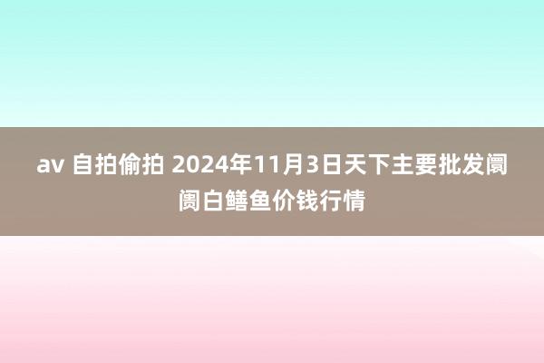 av 自拍偷拍 2024年11月3日天下主要批发阛阓白鳝鱼价钱行情