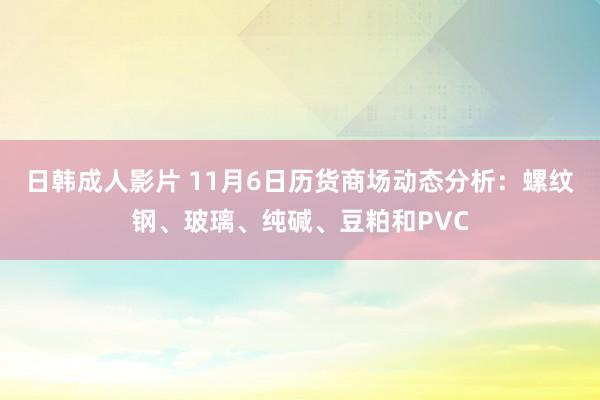 日韩成人影片 11月6日历货商场动态分析：螺纹钢、玻璃、纯碱、豆粕和PVC