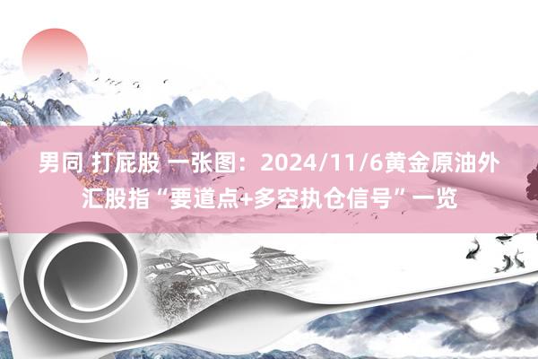 男同 打屁股 一张图：2024/11/6黄金原油外汇股指“要道点+多空执仓信号”一览