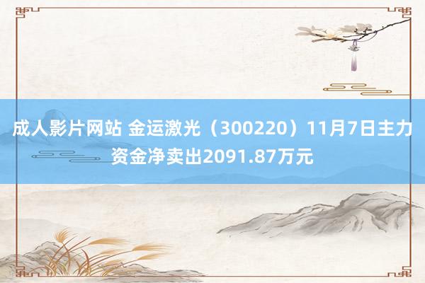 成人影片网站 金运激光（300220）11月7日主力资金净卖出2091.87万元