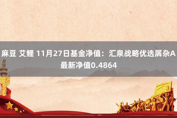 麻豆 艾鲤 11月27日基金净值：汇泉战略优选羼杂A最新净值0.4864