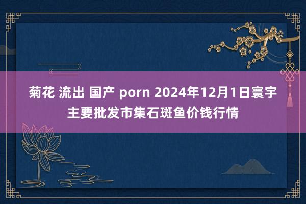 菊花 流出 国产 porn 2024年12月1日寰宇主要批发市集石斑鱼价钱行情