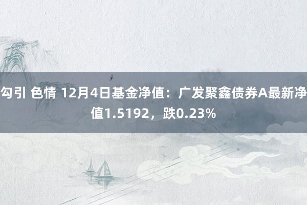 勾引 色情 12月4日基金净值：广发聚鑫债券A最新净值1.5192，跌0.23%