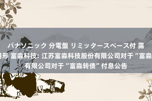 パナソニック 分電盤 リミッタースペース付 露出・半埋込両用形 富淼科技: 江苏富淼科技股份有限公司对于“富淼转债”付息公告