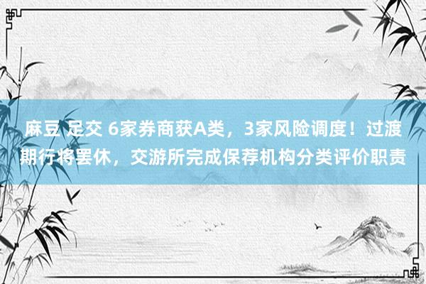 麻豆 足交 6家券商获A类，3家风险调度！过渡期行将罢休，交游所完成保荐机构分类评价职责