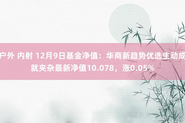 户外 内射 12月9日基金净值：华商新趋势优选生动成就夹杂最新净值10.078，涨0.05%