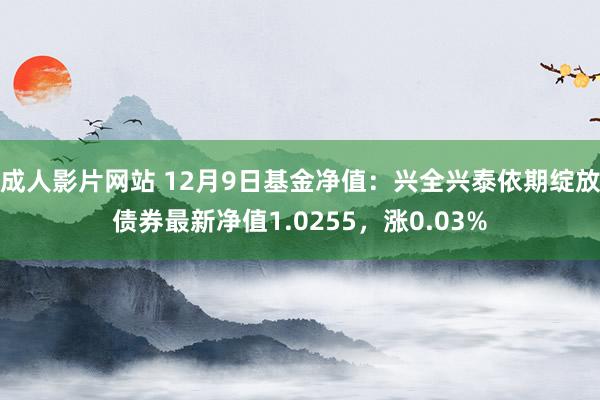 成人影片网站 12月9日基金净值：兴全兴泰依期绽放债券最新净值1.0255，涨0.03%