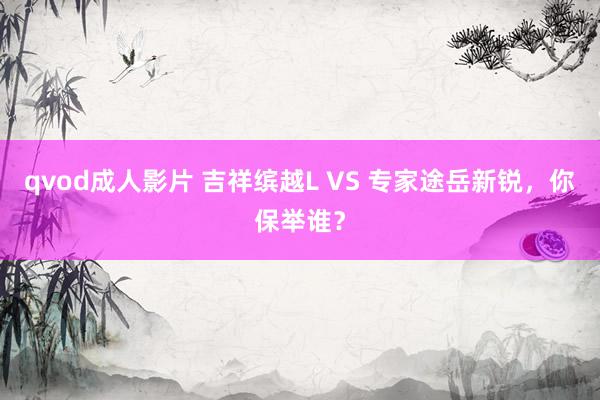 qvod成人影片 吉祥缤越L VS 专家途岳新锐，你保举谁？