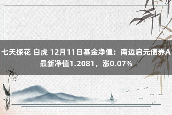 七天探花 白虎 12月11日基金净值：南边启元债券A最新净值1.2081，涨0.07%