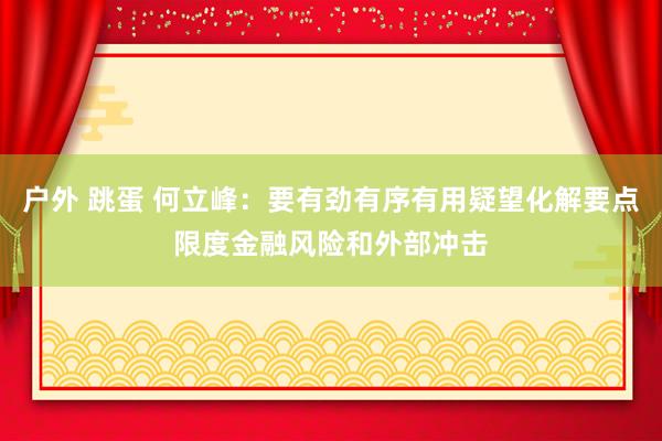 户外 跳蛋 何立峰：要有劲有序有用疑望化解要点限度金融风险和外部冲击