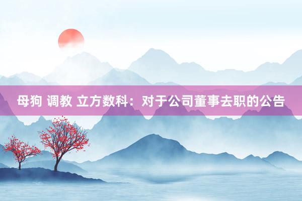 母狗 调教 立方数科：对于公司董事去职的公告