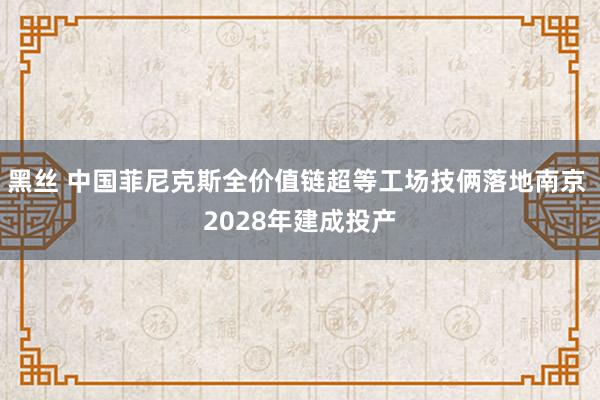 黑丝 中国菲尼克斯全价值链超等工场技俩落地南京 2028年建成投产