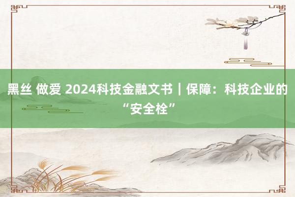 黑丝 做爱 2024科技金融文书｜保障：科技企业的“安全栓”