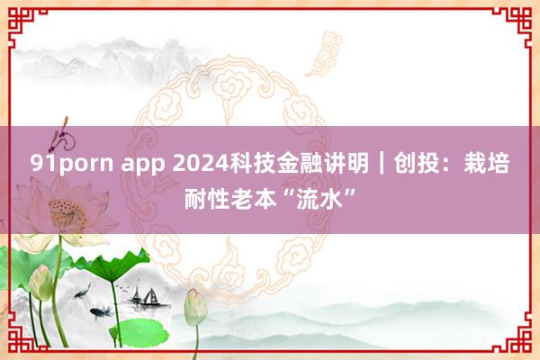 91porn app 2024科技金融讲明｜创投：栽培耐性老本“流水”