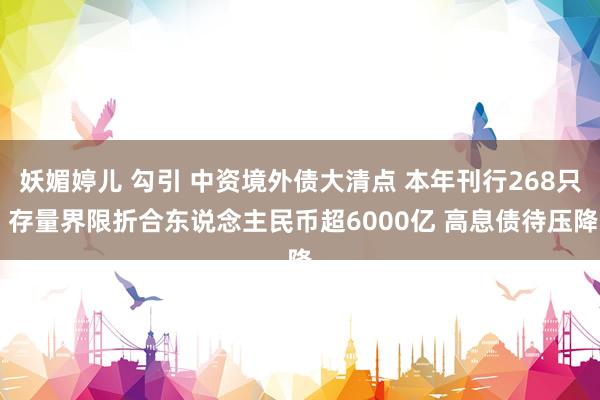 妖媚婷儿 勾引 中资境外债大清点 本年刊行268只 存量界限折合东说念主民币超6000亿 高息债待压降