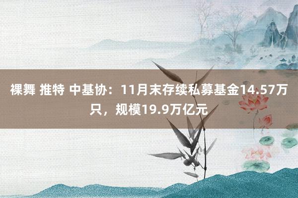 裸舞 推特 中基协：11月末存续私募基金14.57万只，规模19.9万亿元