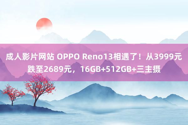 成人影片网站 OPPO Reno13相遇了！从3999元跌至2689元，16GB+512GB+三主摄