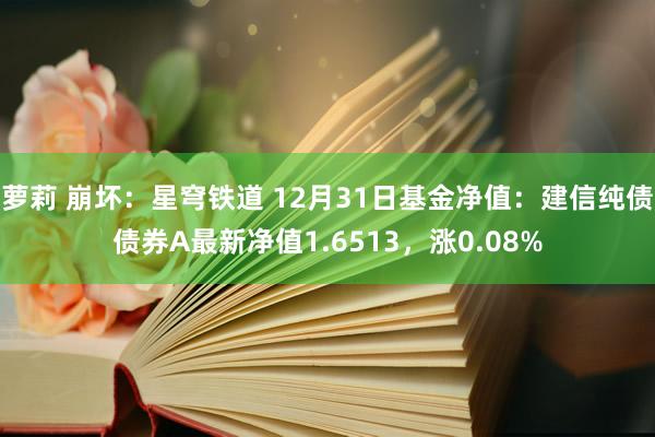 萝莉 崩坏：星穹铁道 12月31日基金净值：建信纯债债券A最新净值1.6513，涨0.08%