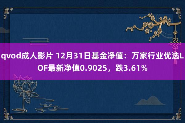 qvod成人影片 12月31日基金净值：万家行业优选LOF最新净值0.9025，跌3.61%