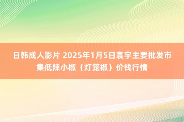 日韩成人影片 2025年1月5日寰宇主要批发市集低辣小椒（灯笼椒）价钱行情