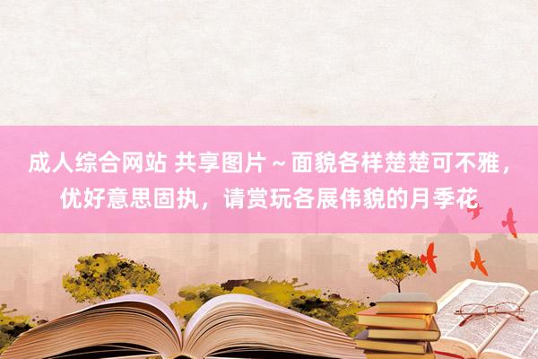 成人综合网站 共享图片～面貌各样楚楚可不雅，优好意思固执，请赏玩各展伟貌的月季花