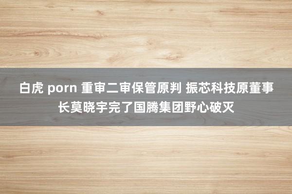 白虎 porn 重审二审保管原判 振芯科技原董事长莫晓宇完了国腾集团野心破灭