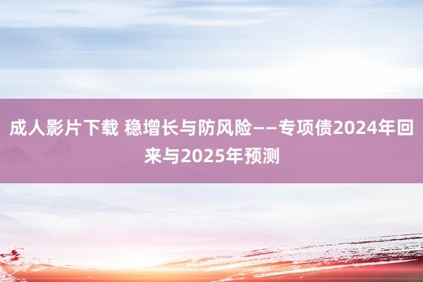 成人影片下载 稳增长与防风险——专项债2024年回来与2025年预测