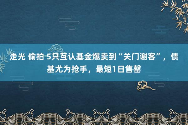 走光 偷拍 5只互认基金爆卖到“关门谢客”，债基尤为抢手，最短1日售罄