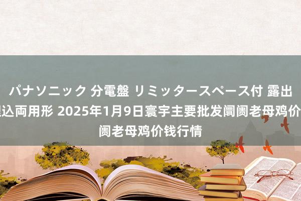 パナソニック 分電盤 リミッタースペース付 露出・半埋込両用形 2025年1月9日寰宇主要批发阛阓老母鸡价钱行情