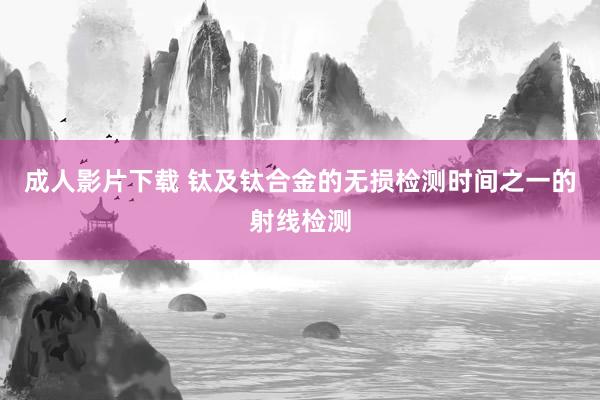 成人影片下载 钛及钛合金的无损检测时间之一的射线检测