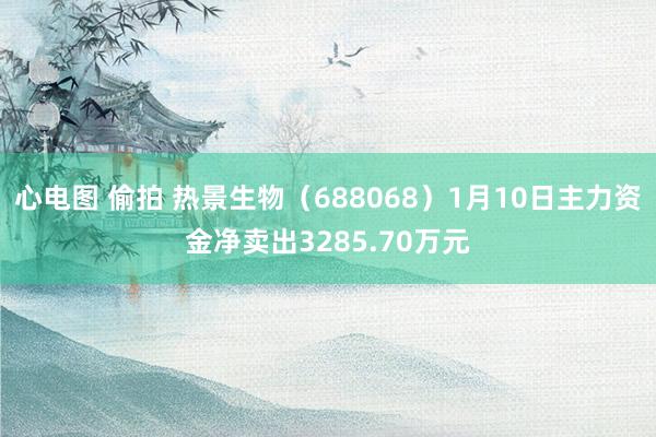 心电图 偷拍 热景生物（688068）1月10日主力资金净卖出3285.70万元